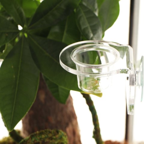 Terrario Gecko Bar Dish - miseczka zapasowa 30ml