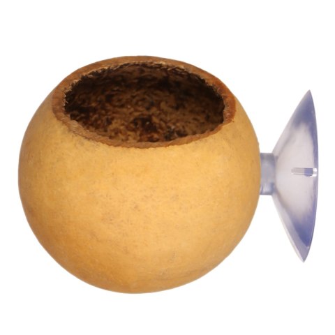 Terrario Hang Bowl Natural - łupina miska wisząca z przyssawką Terrario Hang Bowl Natural - łupina miska wisząca z przyssawką