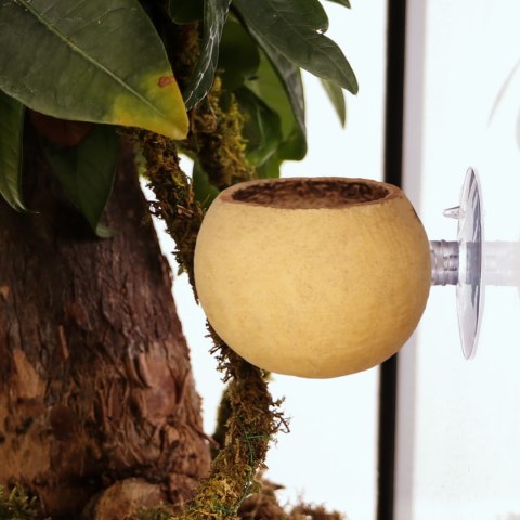 Terrario Hang Bowl Natural - łupina miska wisząca z przyssawką Terrario Hang Bowl Natural - łupina miska wisząca z przyssawką