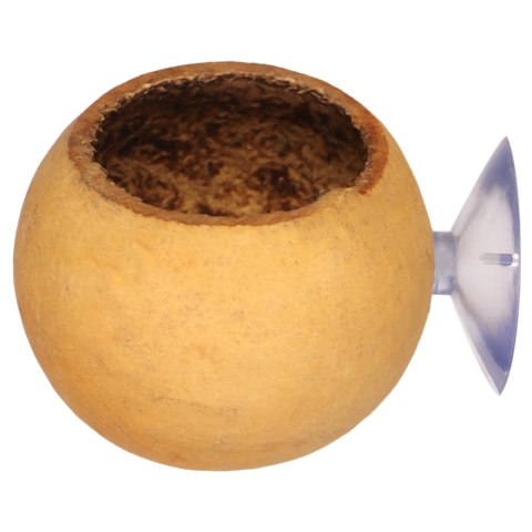 Terrario Hang Bowl Natural - łupina miska wisząca z przyssawką Terrario Hang Bowl Natural - łupina miska wisząca z przyssawką