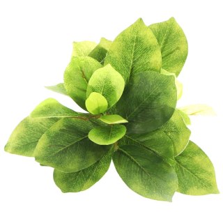 Bello Plant - Double Ficus - roślina M do obrazów 3D