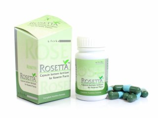 Ferka Rosetta 20 Kapsułek Rośliny Rozetowe, Trawniki