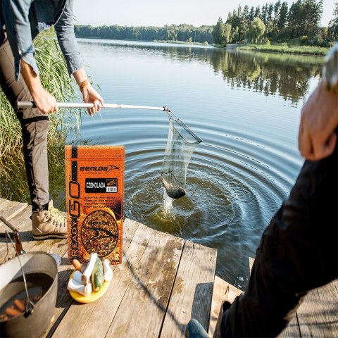 Genlog ReadyGo Czekolada - zanęta na ryby 0,8kg Genlog ReadyGo Czekolada - zanęta na ryby 0,8kg