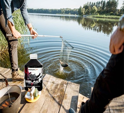 Genlog - melasa naturalna w płynie 500ml Genlog - melasa naturalna w płynie 500ml
