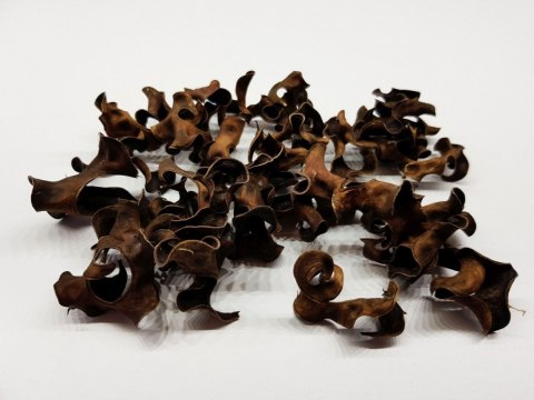 Tantora Black Curl 10g kryjówka krewetki Tantora Black Curl 10g kryjówka krewetki