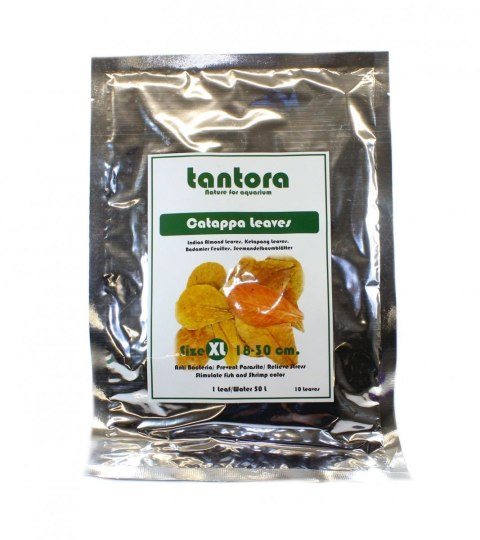 Tantora Cattapa Leaves Liście Ketapang XL 10Szt. Tantora Cattapa Leaves Liście Ketapang XL 10Szt.
