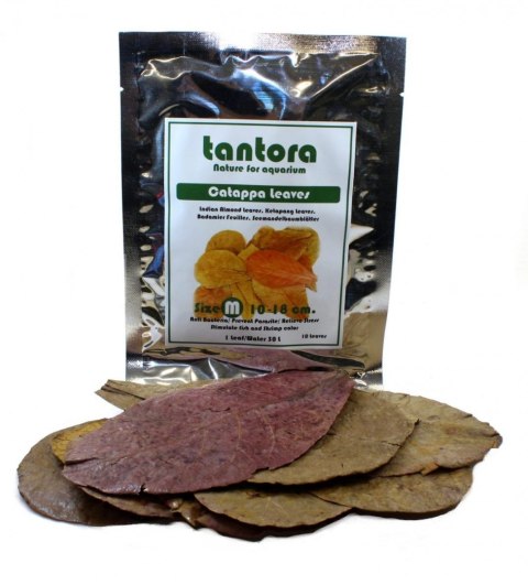 Tantora Cattapa Leaves Liście Ketapang M 10Szt. Tantora Cattapa Leaves Liście Ketapang M 10Szt.