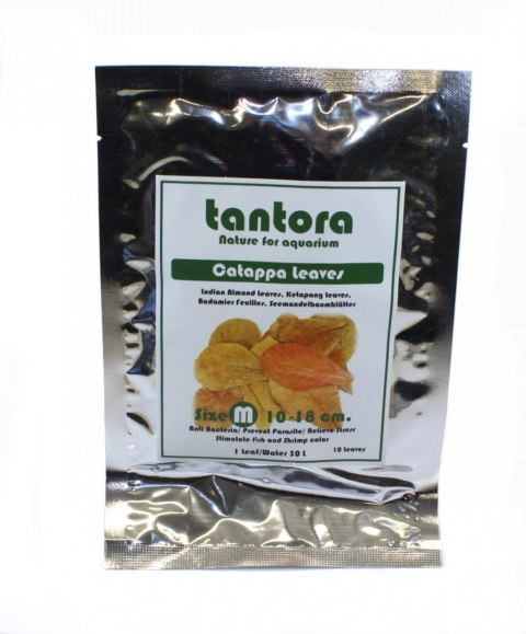 Tantora Cattapa Leaves Liście Ketapang M 10Szt. Tantora Cattapa Leaves Liście Ketapang M 10Szt.