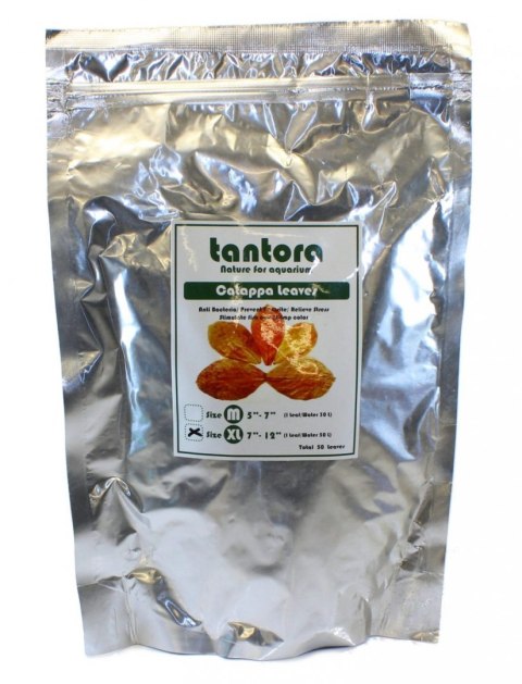 Tantora Cattapa Leaves Liście Ketapangu XL 50Szt. Tantora Cattapa Leaves Liście Ketapangu XL 50Szt.