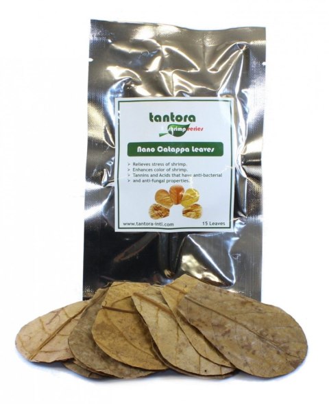 Tantora Cattapa Leaves Liście Ketapangu Nano 15Szt. Tantora Cattapa Leaves Liście Ketapangu Nano 15Szt.