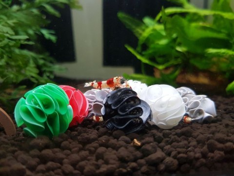 Baby Shrimp Shelters Czarny 20 szt