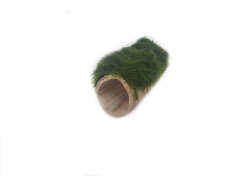 Gałęzatka Na Rurce A 50x15mm Naturalna Ozdoba Gałęzatka Na Rurce A 50x15mm Naturalna Ozdoba