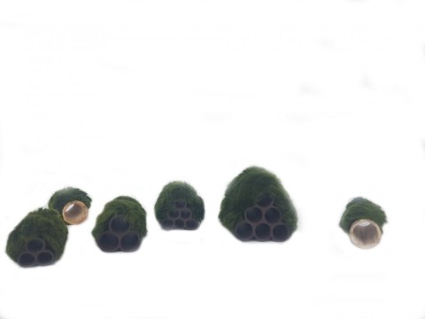 Gałęzatka Na Rurce A 50x15mm Naturalna Ozdoba Gałęzatka Na Rurce A 50x15mm Naturalna Ozdoba