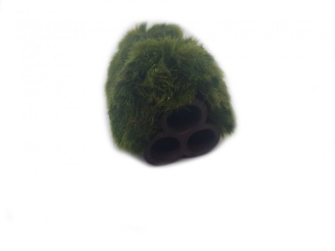Gałęzatka Na Rurkobloczku Mikro 3-Rurki 40x30x30mm Naturalna Ozdoba Gałęzatka Na Rurkobloczku Mikro 3-Rurki 40x30x30mm Naturalna Ozdoba