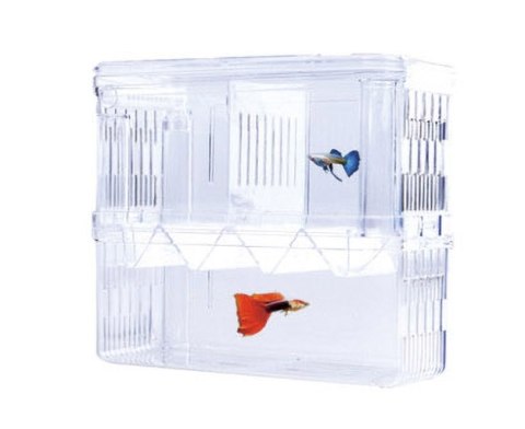 Jeneca Kotnik Plastikowy Duży Podwójny 10x8x13 Jeneca Kotnik Plastikowy Duży Podwójny 10x8x13