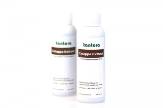 Tantora Cattapa Extract 100ml wyciąg z ketapangu