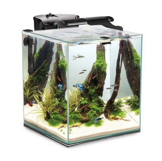Aquael Fish&Shrimp Set DUO Czarny Zestaw Akwarium 49l