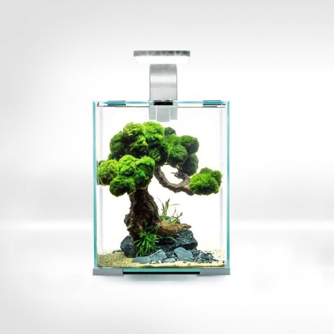 Aquael Shrimp Set 20L Biały Day/Night 25x25x30cm Aquael Shrimp Set 20L Biały Day/Night 25x25x30cm