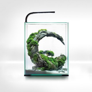 Aquael Shrimp Set 20L Czarny Day/Night 25x25x30cm
