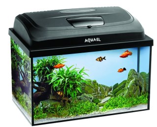 Aquael Zestaw Akwar. Classic Box 40 PAP LT