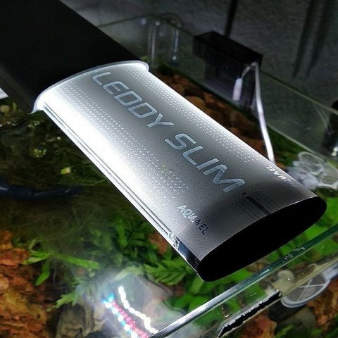 Aquael Leddy Slim 10W Duo Sunny&Plant Czarny Aquael Leddy Slim 10W Duo Sunny&Plant Czarny