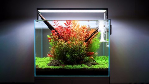 Twinstar III 900SA 84W - lampa LED 90 -100cm Twinstar III 900SA 84W - lampa LED 90 -100cm