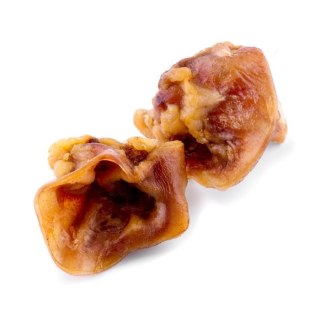 Maced Ucho Środkowe 100g Dla Dużych i Średnich Ras Psów