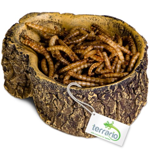 Terrario Bark Bowl - Miska do Terrarium 10x7,5x4 cm