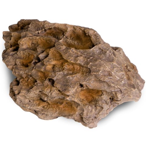 Terrario Dragon Stone M - ozdoba do terrarium 22x15x8cm Terrario Dragon Stone M - ozdoba do terrarium 22x15x8cm