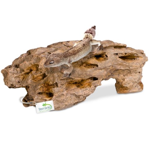 Terrario Dragon Stone M - ozdoba do terrarium 22x15x8cm Terrario Dragon Stone M - ozdoba do terrarium 22x15x8cm