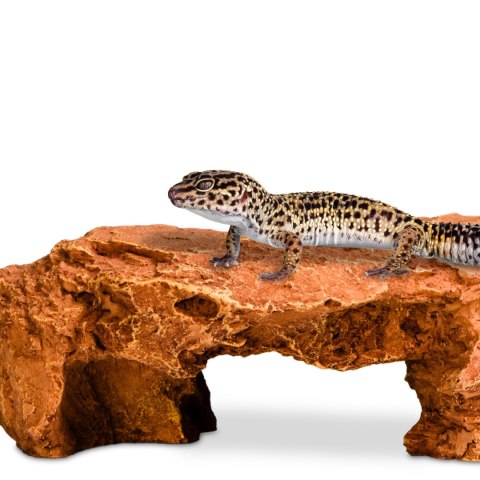 Terrario Mountain Shelf M - ozdoba do terrarium 22x17x8,5cm Terrario Mountain Shelf M - ozdoba do terrarium 22x17x8,5cm