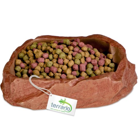 Terrario Natural Bowl M - Miska do Terrarium 11,5x9x3 cm
