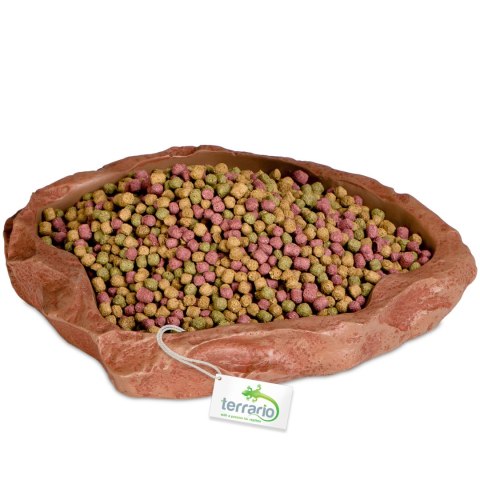 Terrario Natural Bowl - Miska do Terrarium 20x17x3 cm