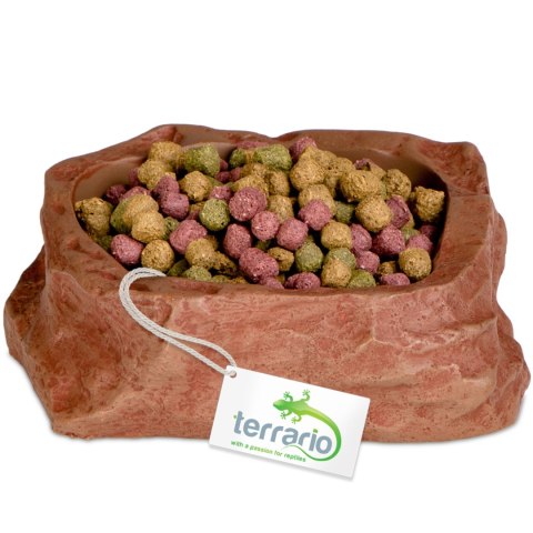 Terrario Natural Bowl S - Miska do Terrarium 8x7x2,5 cm