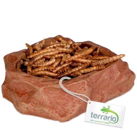 Terrario Natural Bowl S - Miska do Terrarium 8x7x2,5 cm