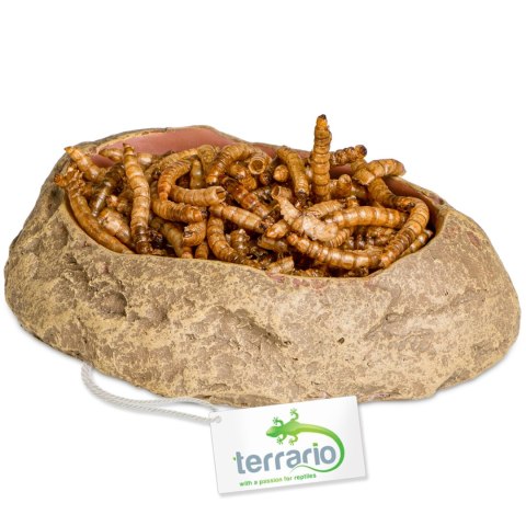 Terrario Rock Oasis S - Miska do Terrarium 10x6,5x2,5 cm