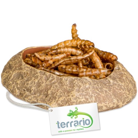 Terrario Rock Oasis XS - Miska do Terrarium 5,5x4x1 cm