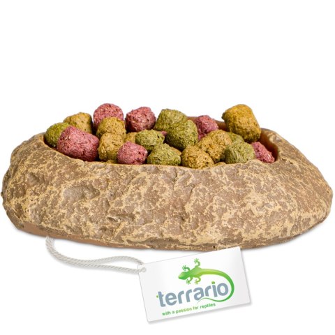 Terrario Rock Oasis XS - Miska do Terrarium 5,5x4x1 cm