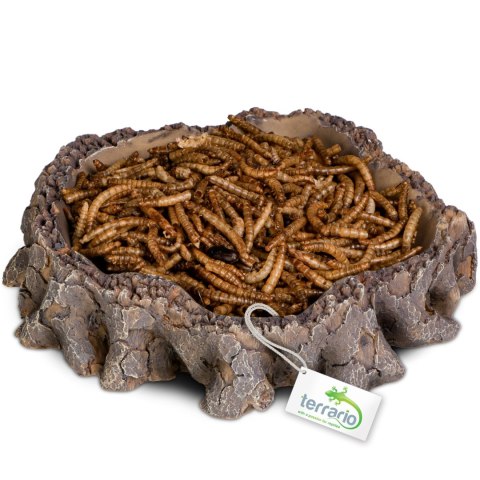 Terrario Root Bowl - Miska do Terrarium 16x16x4 cm