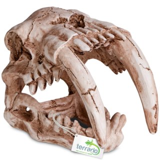 Terrario Sabertooth Skull - kryjówka do terrarium 13x8,5x11 cm