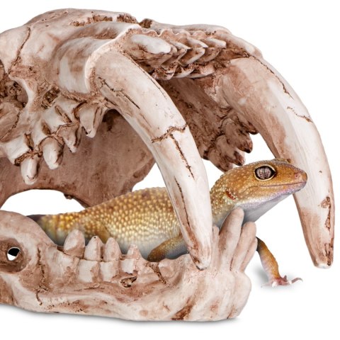 Terrario Sabertooth Skull - kryjówka do terrarium 13x8,5x11 cm Terrario Sabertooth Skull - kryjówka do terrarium 13x8,5x11 cm