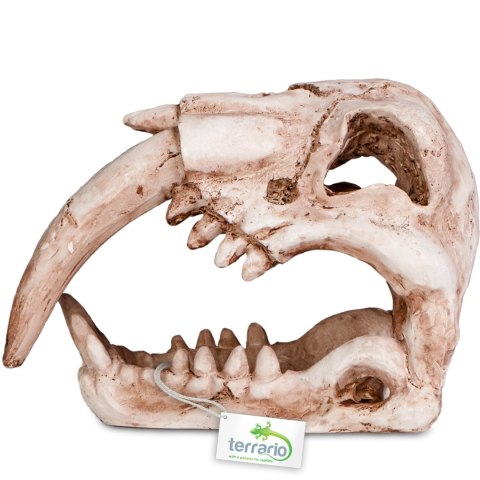 Terrario Sabertooth Skull - kryjówka do terrarium 13x8,5x11 cm Terrario Sabertooth Skull - kryjówka do terrarium 13x8,5x11 cm