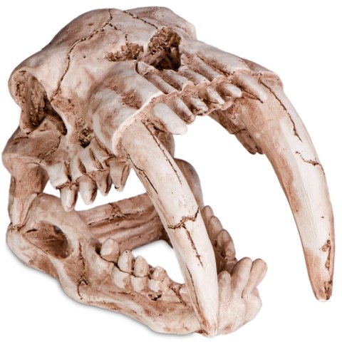 Terrario Sabertooth Skull - kryjówka do terrarium 13x8,5x11 cm Terrario Sabertooth Skull - kryjówka do terrarium 13x8,5x11 cm