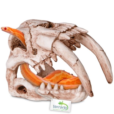 Terrario Sabertooth Skull - kryjówka do terrarium 13x8,5x11 cm Terrario Sabertooth Skull - kryjówka do terrarium 13x8,5x11 cm