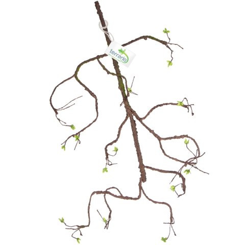 Terrario - Sztuczna Gałąź Dekoracyjna z Pędami do Terrarium - 100 cm