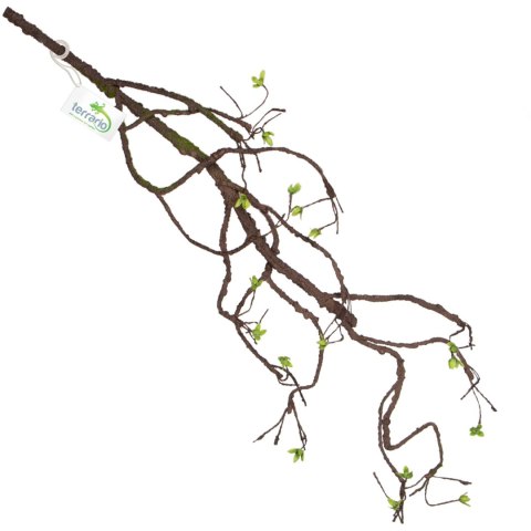 Terrario - Sztuczna Gałąź Dekoracyjna z Pędami do Terrarium - 100 cm