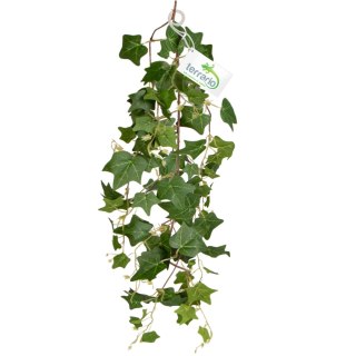 Terrario - Sztuczna Roślina do Terrarium - Bluszcz Zwisający 75 cm
