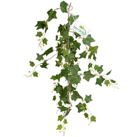 Terrario - Sztuczna Roślina do Terrarium - Bluszcz Zwisający 75 cm
