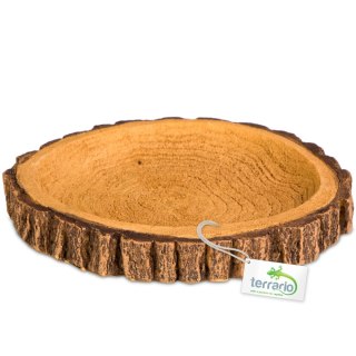 Terrario Tree Ring Bowl M - Miska do Terrarium 12x11x1,5 cm