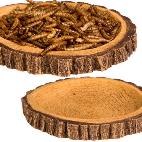 Terrario Tree Ring Bowl M - Miska do Terrarium 12x11x1,5 cm